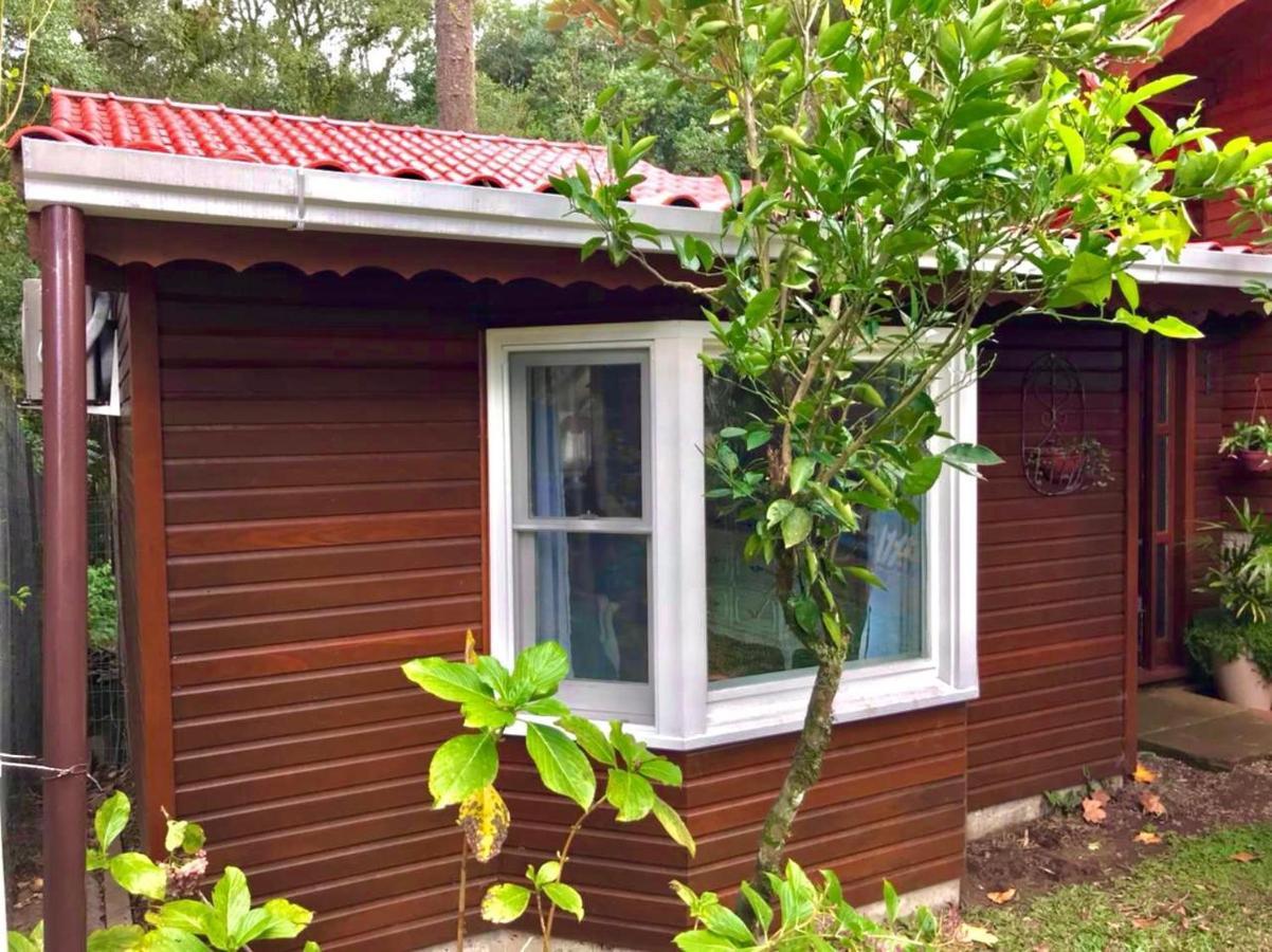 Вилла Casa Calandra Chale Colonial De Madeira Na Serra Gaucha, Canelars Экстерьер фото
